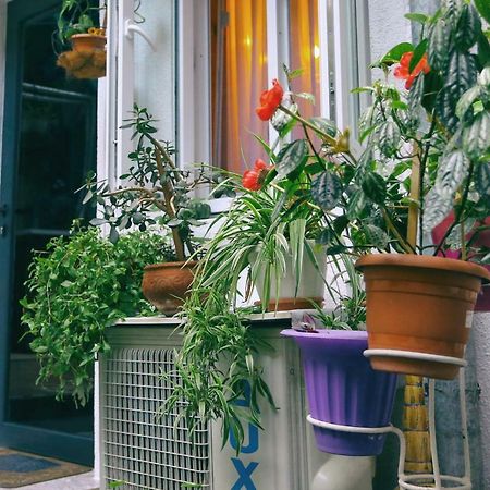 Apartment On Freedom Square Diuma Street Tbilisi Zewnętrze zdjęcie